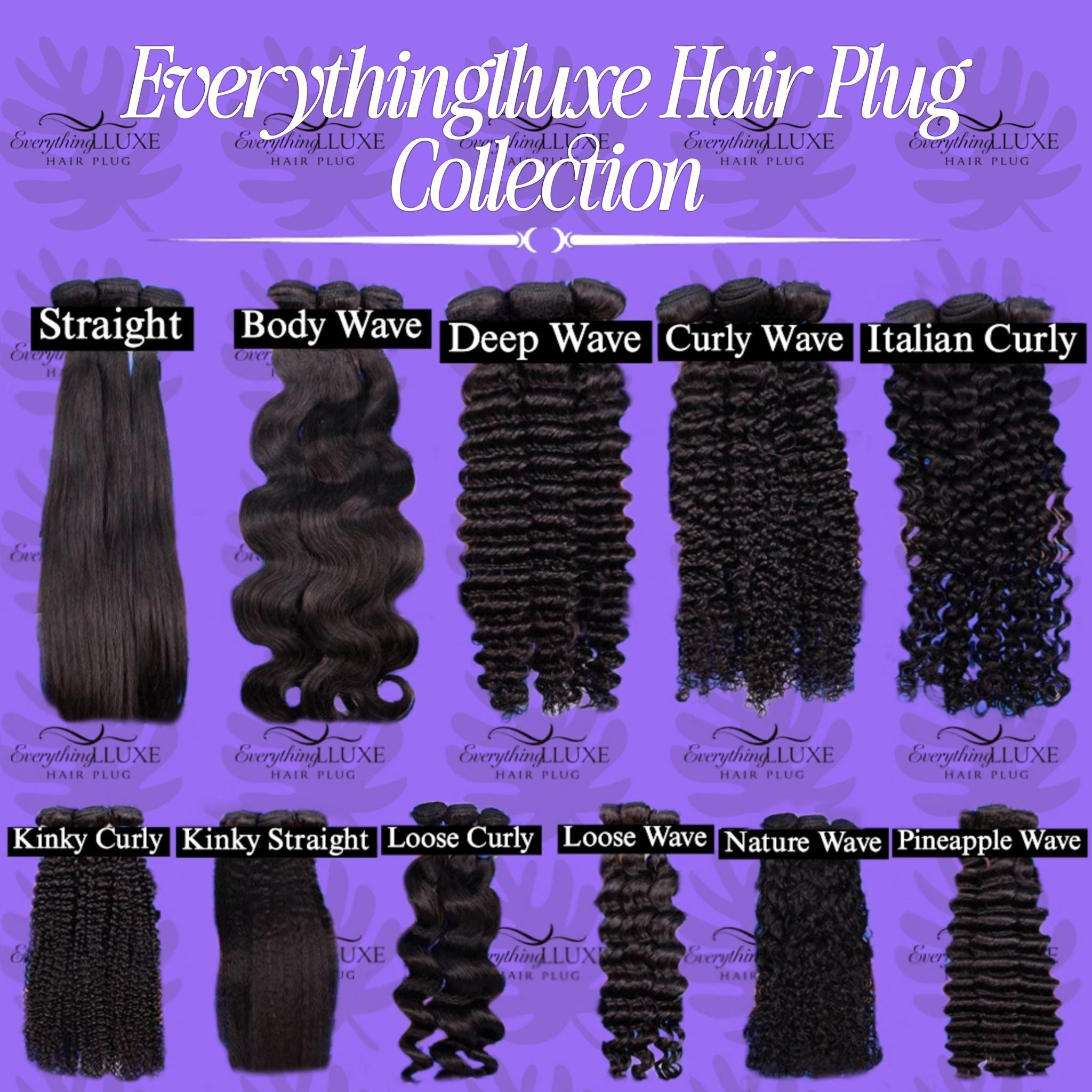 Everythinglluxe Hair & Beauty Plug 🔌
